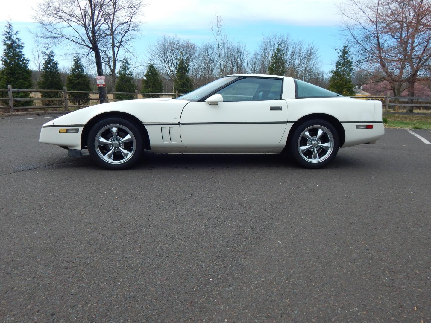 1984 White /Black leather Chevrolet Corvette (1G1AY0789E5) , located at 6528 Lower York Road, New Hope, PA, 18938, (215) 862-9555, 40.358707, -74.977882 - Here for sale is a good running 1984 Chevrolet Corvette Coupe. Under the hood is a strong 5.7 liter V8 which puts power to the rear wheels via a good shifting automatic transmission. Seats are recently reupholstered in Black leather and look great. Removable targa top. Power windows, power locks, - Photo#1